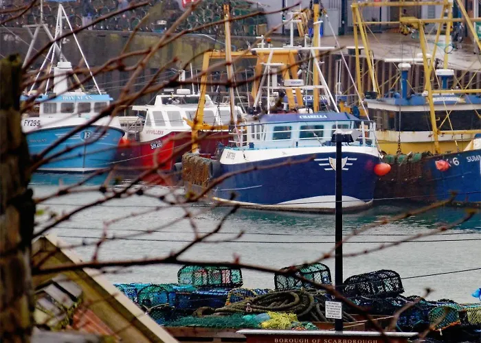 2 Bed In Oc-s027 度假居 *